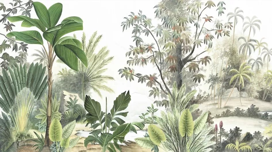 Bali BawanCouleur - Ananbô