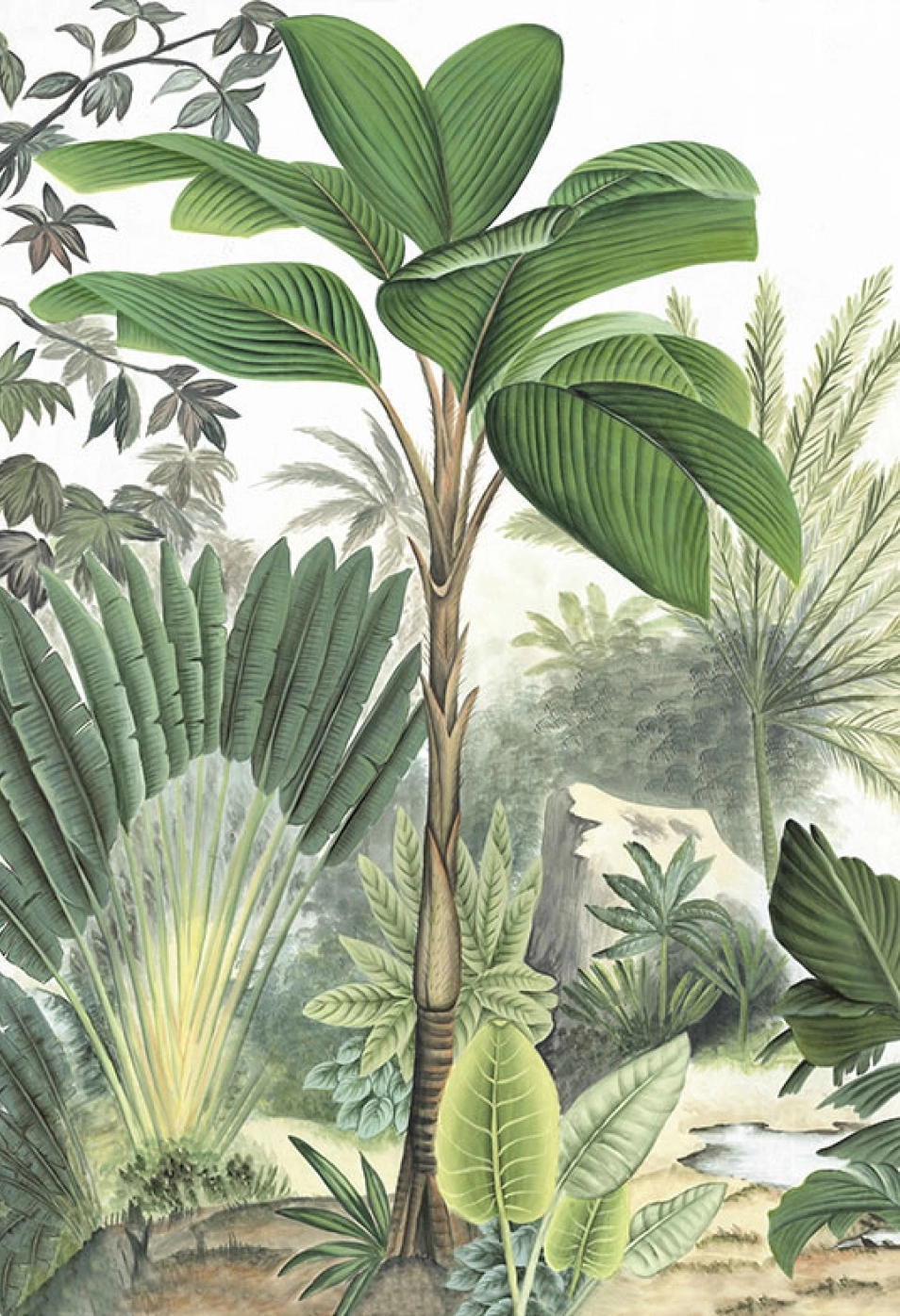 102-Bali-Bawan-couleur