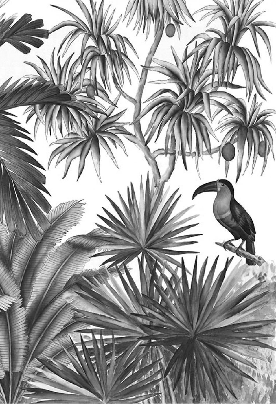 104-Jarawa-noir-et-blanc
