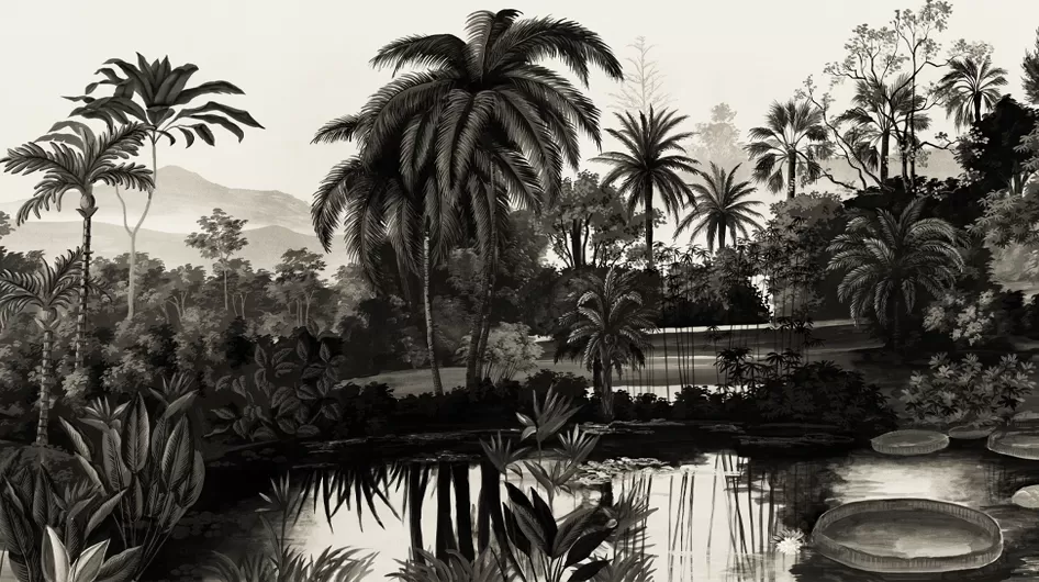Jardin BalinaisTerre brune - Ananbô