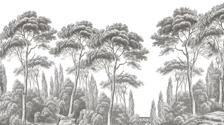 Pins et cyprèsGrisaille - Ananbô