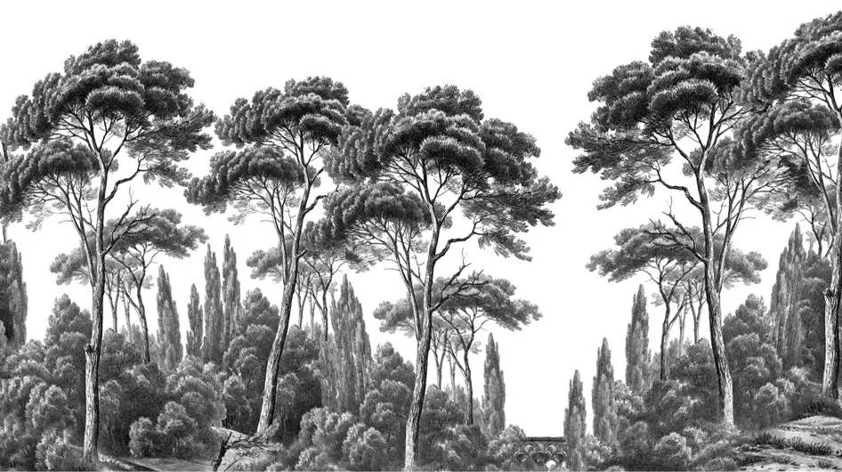 Pins et CyprèsNoir et blanc - Ananbô