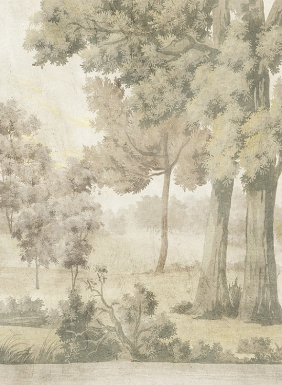 Saint-Martin