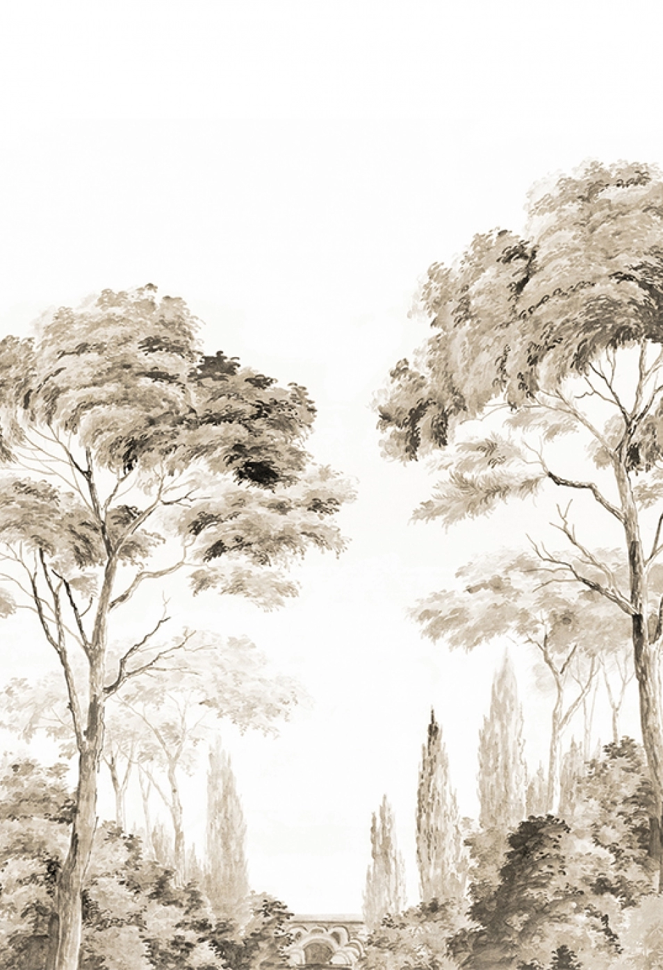 431DS-Les-Alpilles-sepia-vignette