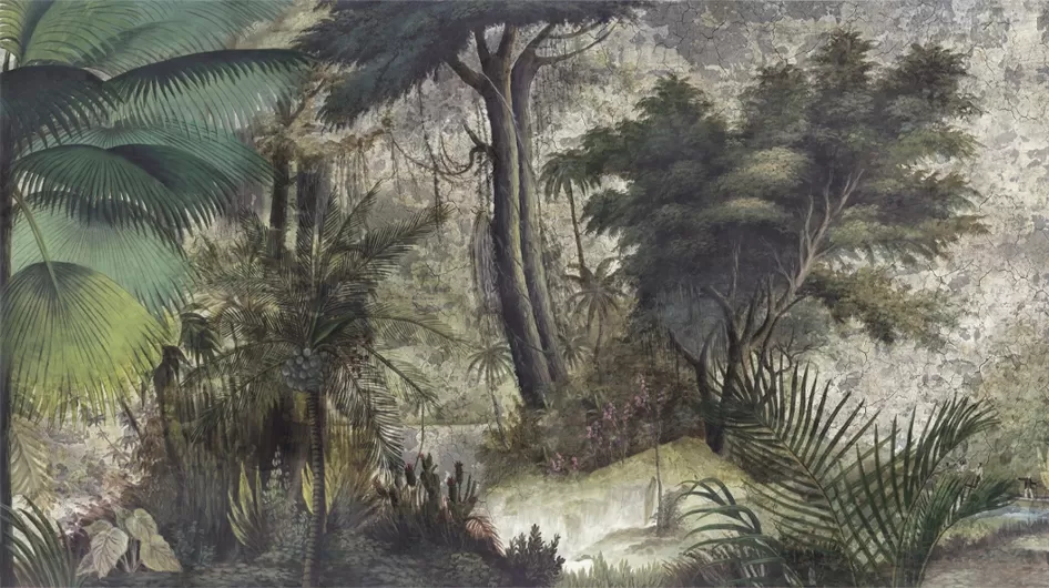 Les sources de l'OrénoqueGrisaille Patine 18 ème - Ananbô