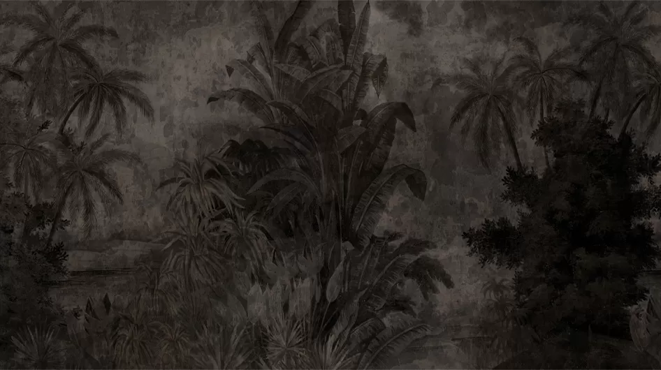 TanaClair-obscur - Ananbô