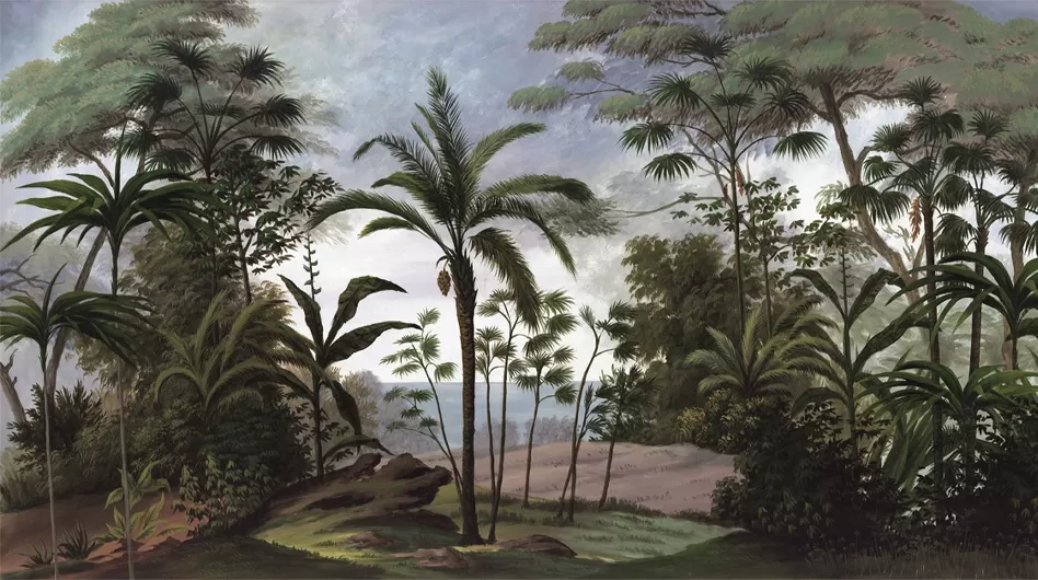 BaliCouleur - Ananbô