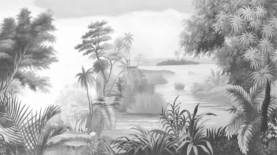 Le lac VictoriaMonochrome gris - Ananbô