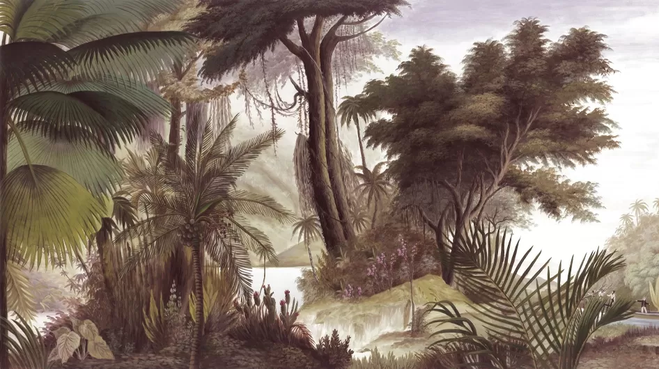 Les sources de l'OrénoqueSépia - Ananbô