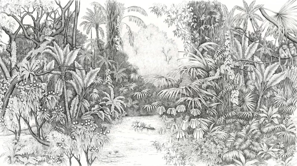 L'Île au PerroquetNoir et blanc - Ananbô