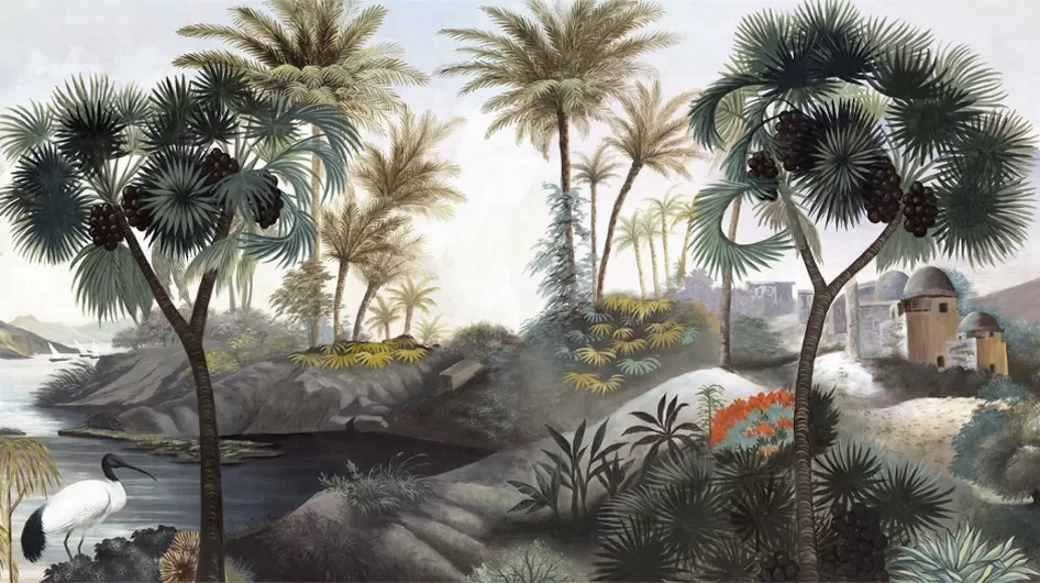 Wadi QinaCouleur - Ananbô