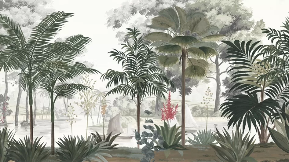 Les voyages de BâCouleur - Ananbô