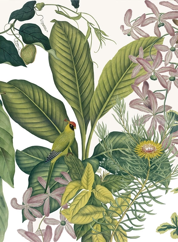 101-Andaman-couleur-1