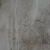 Bonnieux Sépia