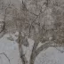Bonnieux Sépia