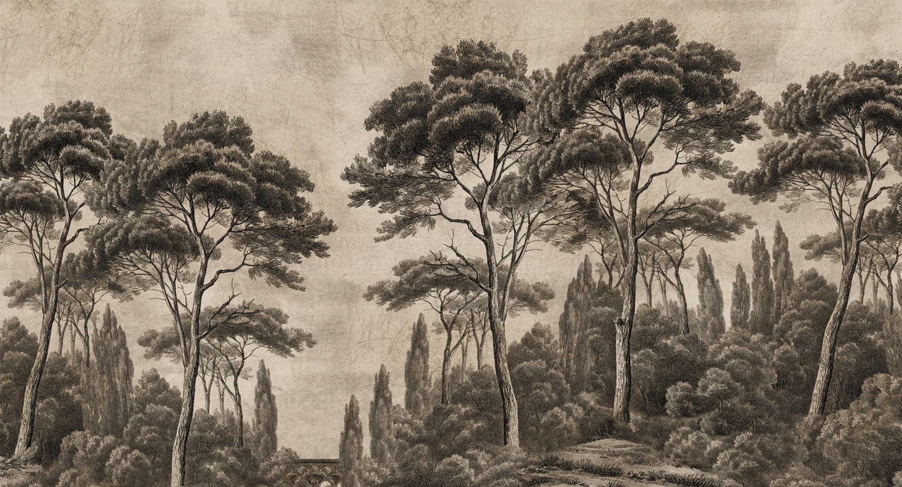 PE308-image-slider-Pins-et-cypres-brun-sepia