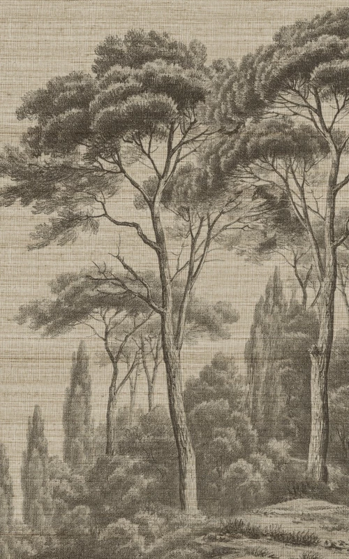 Pins et Cyprès grisaille