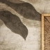 Samoa sépia