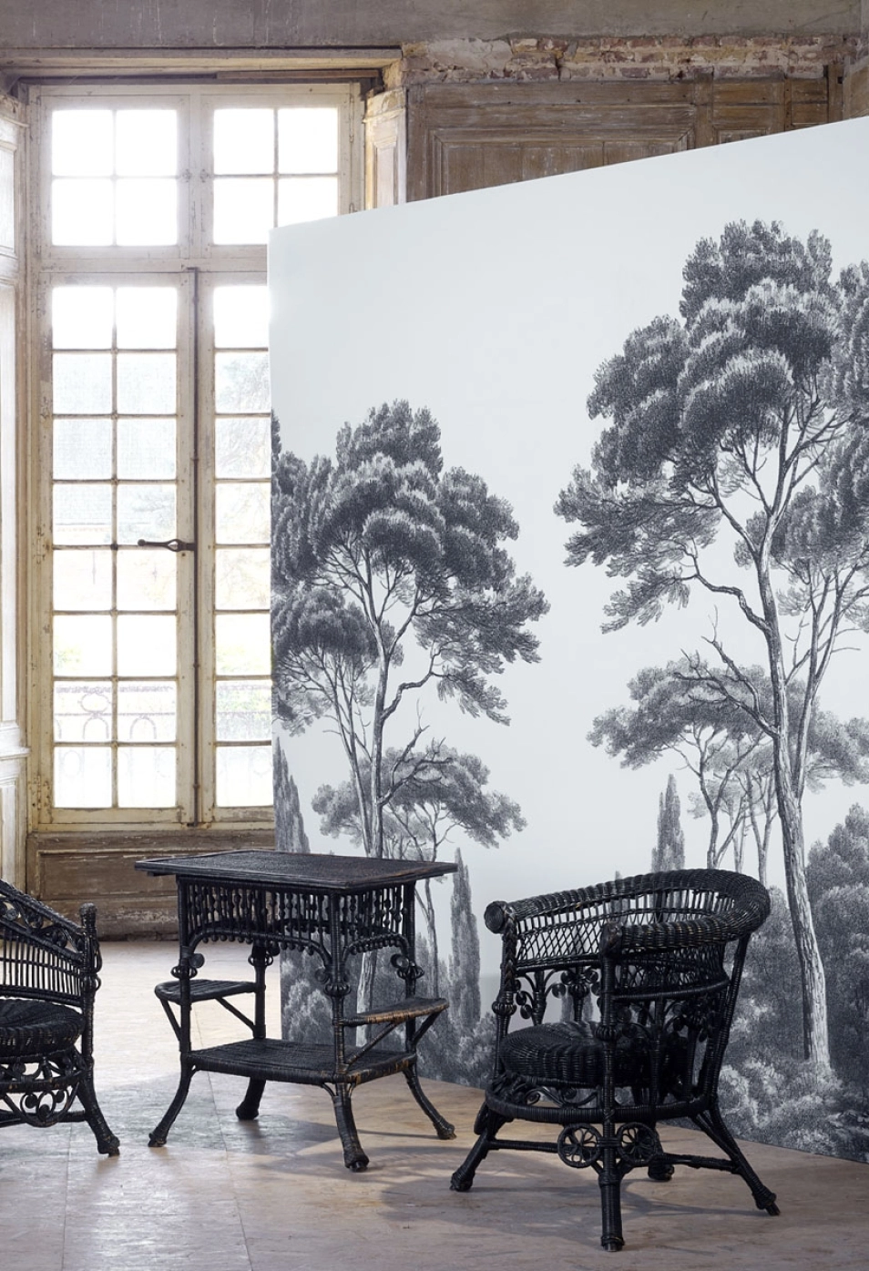 papier-peint-panoramique-pins-et-cypres-paysage-provencal-grisaille