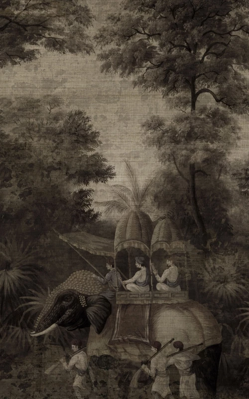 Bengale grisaille