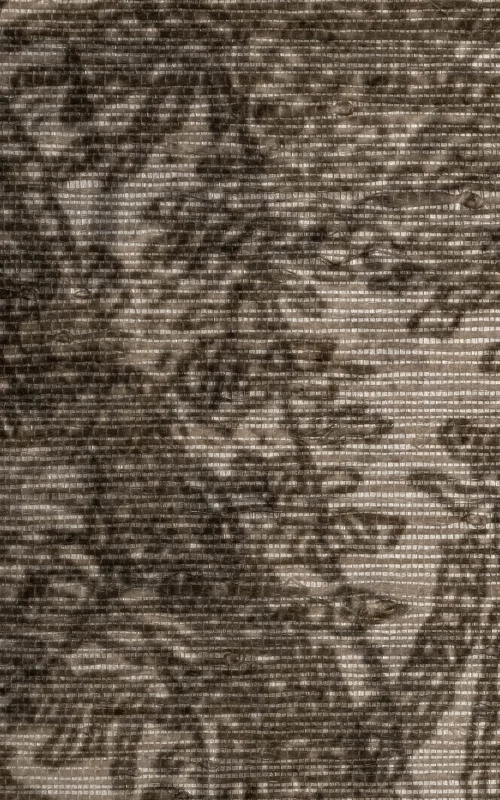 Campagne grisaille