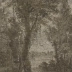 Campagne grisaille