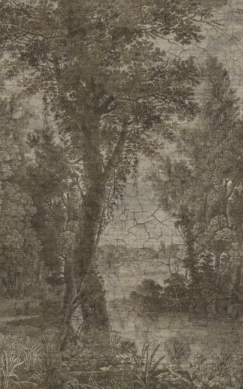 Campagne grisaille