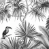 Jarawa noir et blanc