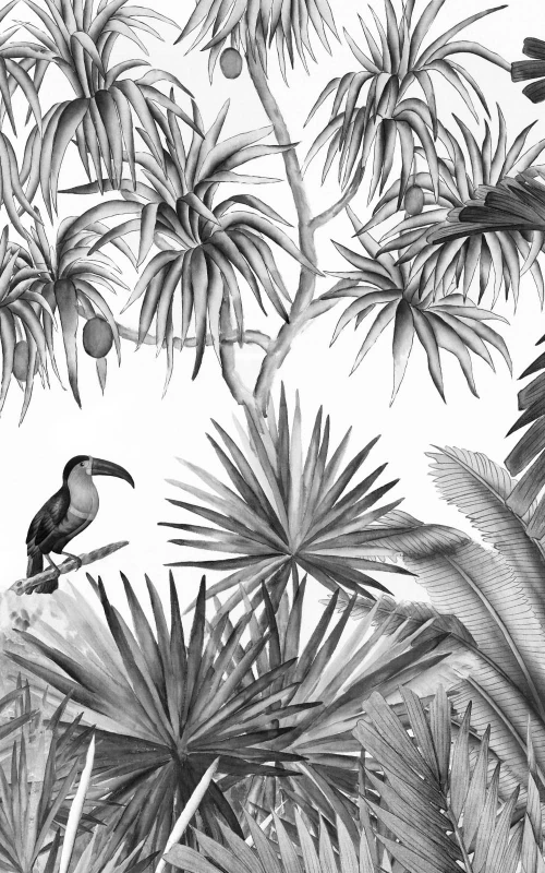 Jarawa noir et blanc