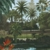 Jardin Balinais couleur