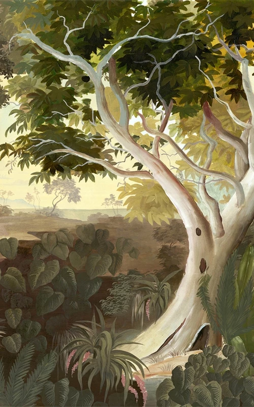 Les jardins d'Akara couleur  