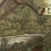 Les jardins d'Akara couleur