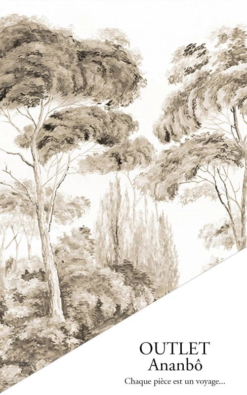Les Alpilles sépia