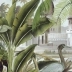 Udaipur couleur