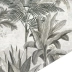 Les palmiers de Kalaho grisaille patine 18 ème