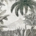 Les palmiers de Kalaho grisaille patine 18 ème