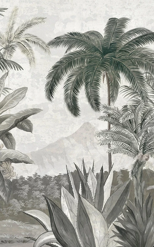 Les palmiers de Kalaho grisaille patine 18 ème
