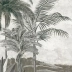 Les palmiers de Kalaho grisaille patine 18 ème