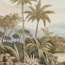 Les îles du Roi Georges couleur