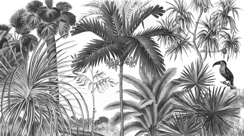 Papier peint panoramique Jarawa Noir et blanc - Ananbô