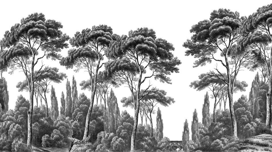 Papier peint panoramique Pins et Cyprès Noir et blanc - Ananbô