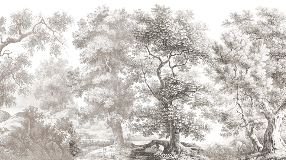 Papier peint panoramique Sous-bois Grisaille - Ananbô
