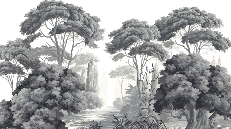 Papier peint panoramique Pins et oliviers Grisaille - Ananbô