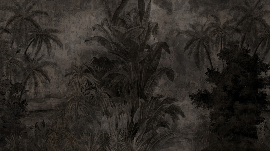 panoramic wallpaper Tana Clair-obscur - Ananbô