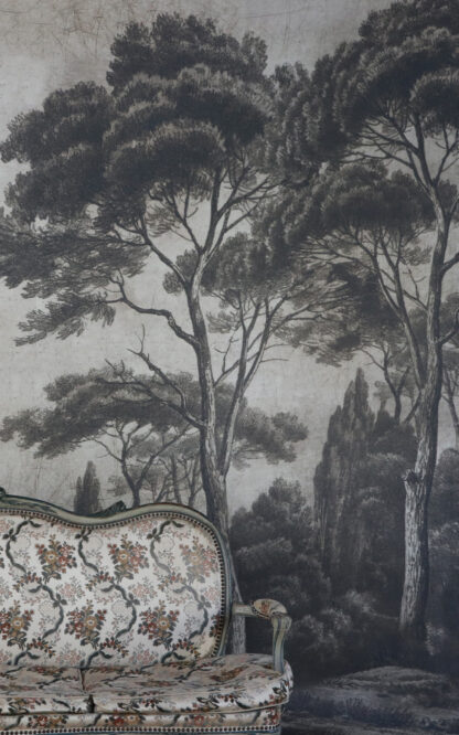 Papier peint panoramique Ananbô pins et cyprès sépia patiné