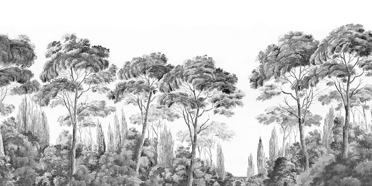 Papier peint panoramique Les Alpilles Grisaille - Ananbô Fullsize