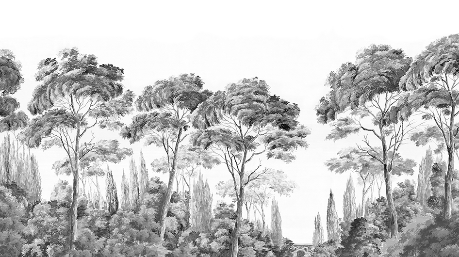 Papier peint panoramique Les Alpilles Grisaille - Ananbô